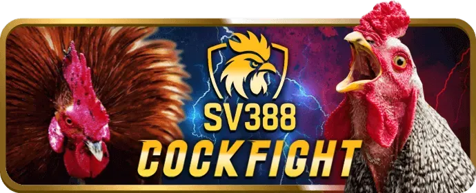 Giao diện HD88 Code thân thiện