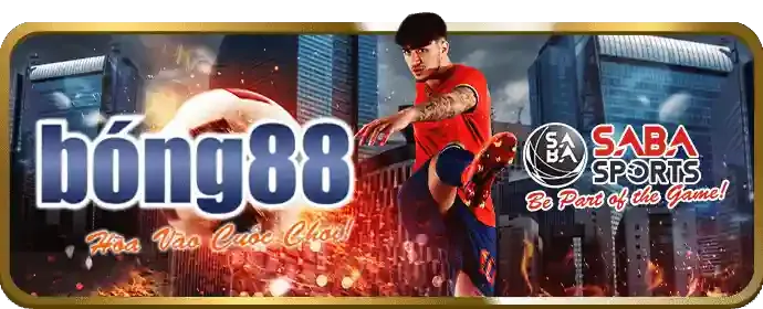 Tránh sai lầm khi cá cược